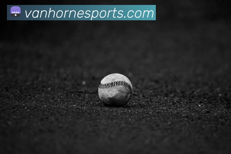 球赛投注服务体系